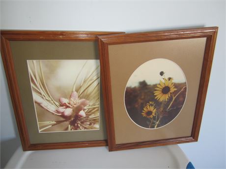 2 Photograph Pictures